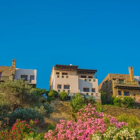 Althea Archontika Tis Androu Batsi (Andros)