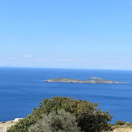 Apartamento Althea Archontika Tis Androu *