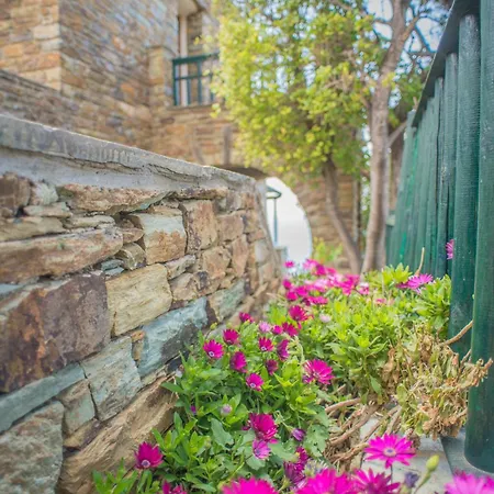 Althea Archontika Tis Androu Apartamento