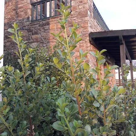 Althea Archontika Tis Androu Apartamento Batsi