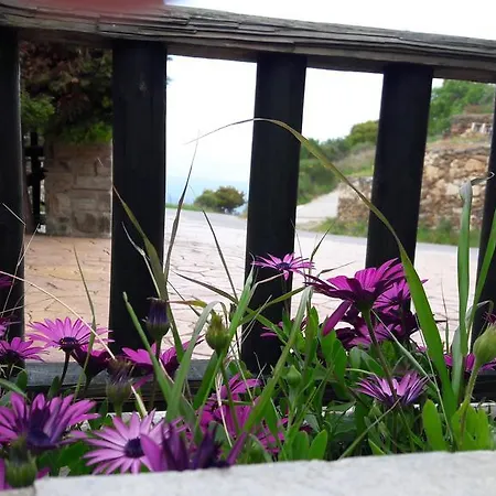 Althea Archontika Tis Androu * Batsi (Andros)